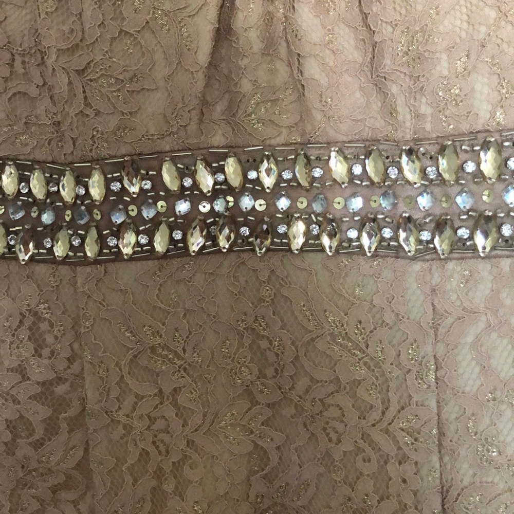 Gorgeous Champagne & Gold Lace Evening Gown - Picture 3 of 6